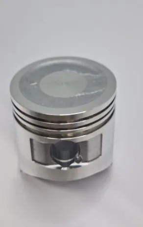 GX160 Piston