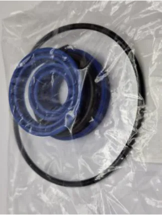 Pump seal kit